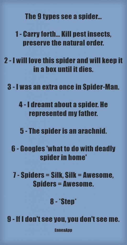 The 9 types see a spider...